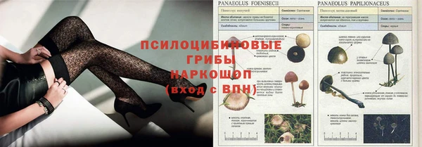 spice Беломорск