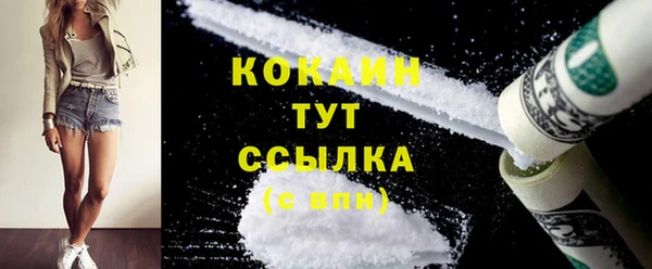 шишки Богородицк