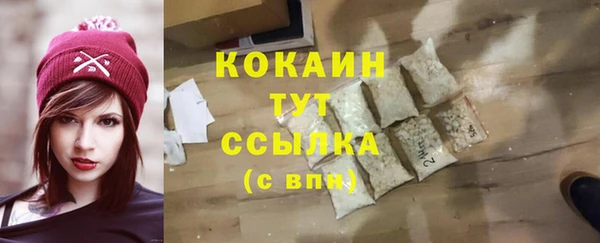 шишки Богородицк